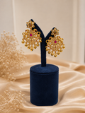 Hanging Earrings